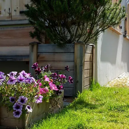 Ches'ota - Appartement